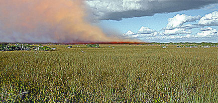 Fires in the Everglades