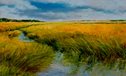 Salt Marshes